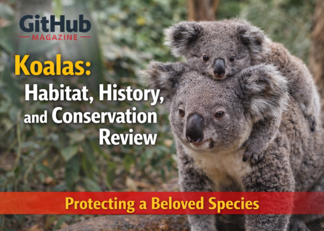 Koalas Habitat History and Conservation Review